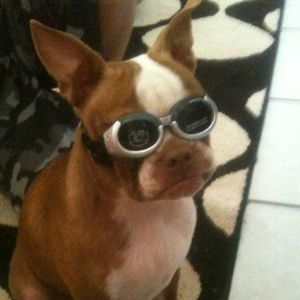 Meet your Posher, Tammy